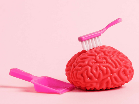 A conceptual image showing a pink toothbrush cleaning a bright red model of a human brain, with a small pink dustpan nearby, symbolizing the link between brushing teeth and dementia.