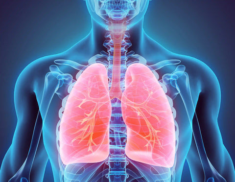 Aspiration pneumonia : Causes, Symtoms and Method of Prevention in terms of Oral Care