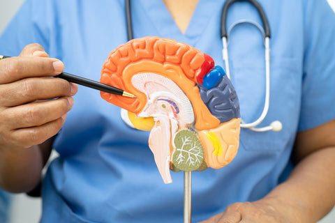 Easy to Understand Nursing Care Plan for Stroke