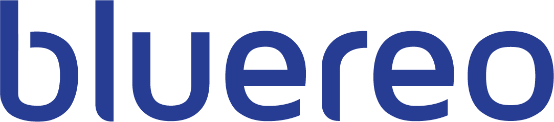 bluereo inc.