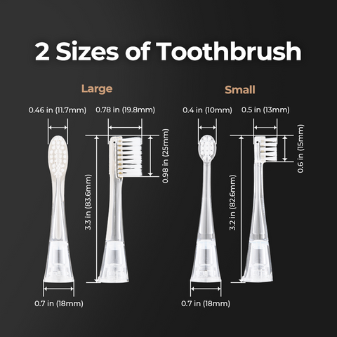 Bluereo electric suction toothbrush G100 Pro brush head size comparison showing large and small heads with dimensions