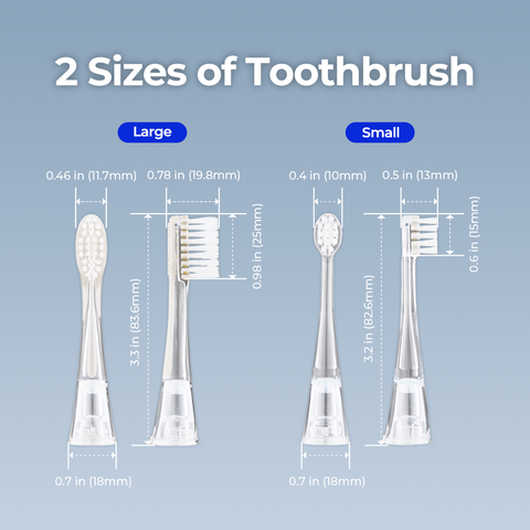 Bluereo G100 suction toothbrush head size comparison showing large and small brush options