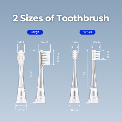 Electric Suction Toothbrush G100A